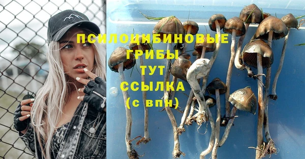 амфетамин Арсеньев