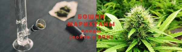 шишки Армянск