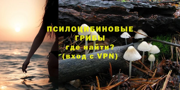 соль ск Аркадак